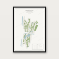 Bernardus Golf — Editorial, staand
