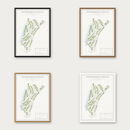 Noord-Nederlandse Golf & Country Club kaartposter in vier lijstkleuren: zwart, donker eiken, licht eiken en wit